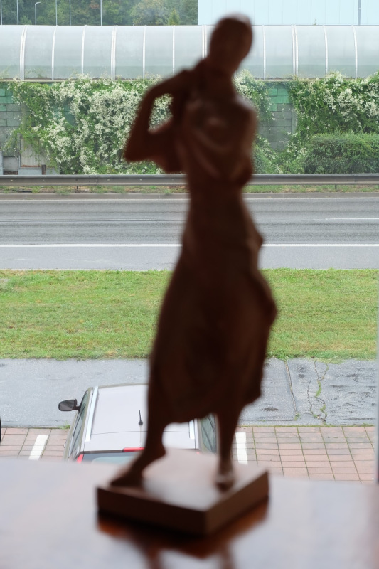 Tibor Bártfay - Sládkovičová Marína 2