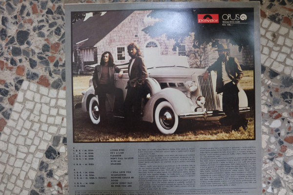 LP BeeGees Living Eyes 1